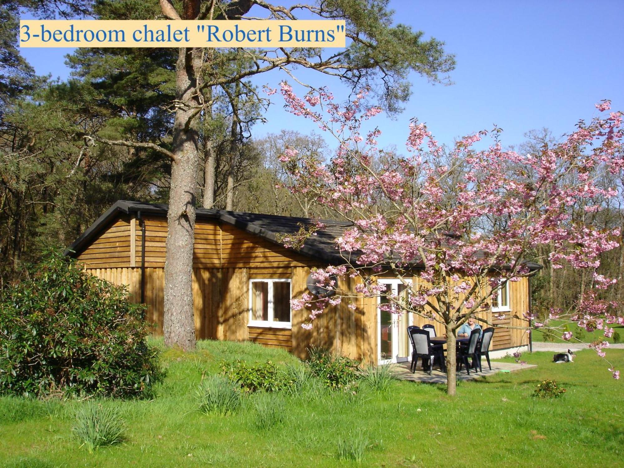 Airdeny Chalets Тейналт Номер фото